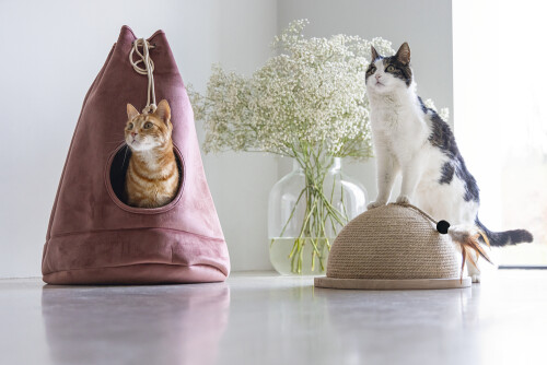 Beeztees DBL Kedi Tırmalama ve Oyuncağı, 34,5x34,5x18cm - 11