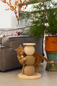 Beeztees DBL Kedi Tırmalama ve Oyuncağı, 34x34x47,5cm - 4