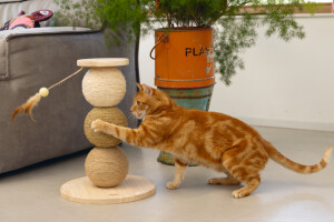 Beeztees DBL Kedi Tırmalama ve Oyuncağı, 34x34x47,5cm - 5