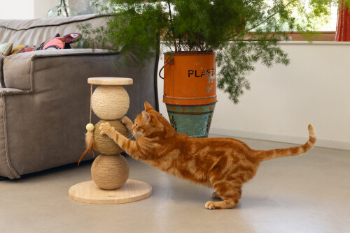 Beeztees DBL Kedi Tırmalama ve Oyuncağı, 34x34x47,5cm - 7