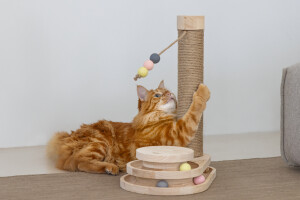 Beeztees DBL Kedi Tırmalama ve Oyuncağı, 38x24,5x47,5cm - 5