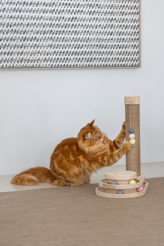 Beeztees DBL Kedi Tırmalama ve Oyuncağı, 38x24,5x47,5cm - 7