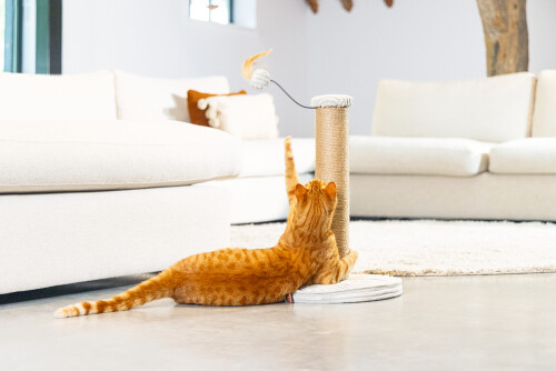 Beeztees DBL Kedi Tırmalama ve Oyuncağı, Açık Gri, 35x35x50cm - 4