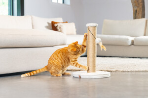 Beeztees DBL Kedi Tırmalama ve Oyuncağı, Açık Gri, 35x35x50cm - 3