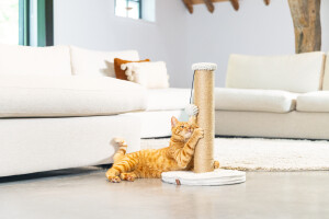 Beeztees DBL Kedi Tırmalama ve Oyuncağı, Açık Gri, 35x35x50cm - 5