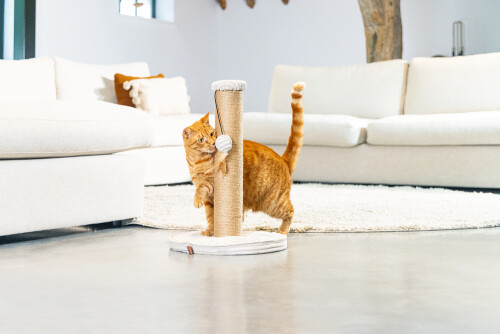 Beeztees DBL Kedi Tırmalama ve Oyuncağı, Açık Gri, 35x35x50cm - 6