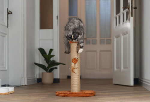 Beeztees DBL Kedi Tırmalama ve Oyuncağı, Toprak Rengi, 35x35x50cm - 3