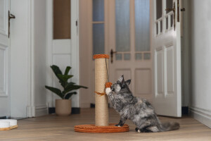 Beeztees DBL Kedi Tırmalama ve Oyuncağı, Toprak Rengi, 35x35x50cm - 4