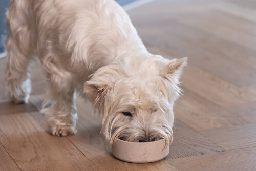 Beeztees DBL Köpek Mama Su Kabı, Bambu, Bej, 12cm, 300ml - 5