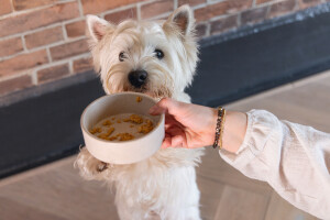 Beeztees DBL Köpek Mama Su Kabı, Bambu, Bej, 12cm, 300ml - 4