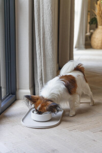 Beeztees DBL Köpek Mama Su Kabı, Bambu, Bej, 14cm, 410ml - 2