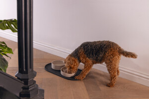 Beeztees DBL Köpek Mama Su Kabı, Bambu, Bej, 17cm, 800ml - 4