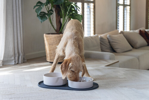 Beeztees DBL Köpek Mama Su Kabı, Bambu, Bej, 21cm, 1430ml - 2