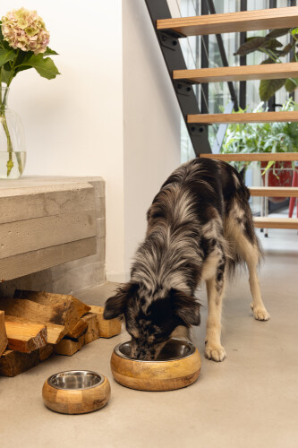 Beeztees DBL Köpek Mama Su Kabı, Dışı Masif Ahşap, Paslanmaz Çelik, 21cm, 1300ml - 6