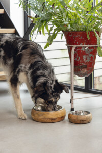 Beeztees DBL Köpek Mama Su Kabı, Dışı Masif Ahşap, Paslanmaz Çelik, 21cm, 1300ml - 8