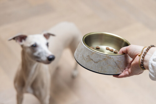 Beeztees DBL Köpek Mama Su Kabı, Mat Altın Rengi Paslanmaz Çelik, Bej Mermer Görünümlü, 17,5cm, 350m - 2