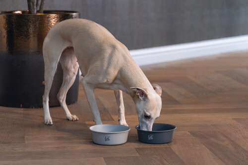 Beeztees DBL Köpek Mama Su Kabı, Mat Siyah Paslanmaz Çelik, 16cm, 940ml - 4