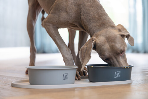 Beeztees DBL Köpek Mama Su Kabı, Mat Siyah Paslanmaz Çelik, 20cm, 1,9L - 9