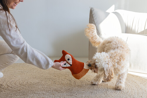 Beeztees DBL Köpek Oyuncağı, Sesli, Tilki, Peluş, Turuncu, 25,5cm - 3