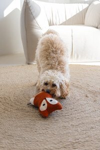 Beeztees DBL Köpek Oyuncağı, Sesli, Tilki, Peluş, Turuncu, 25,5cm - 4