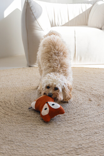 Beeztees DBL Köpek Oyuncağı, Sesli, Tilki, Peluş, Turuncu, 25,5cm - 4