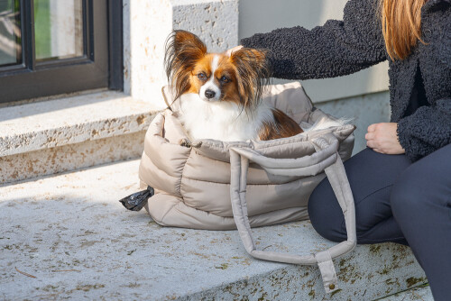 Beeztees DBL Köpek Taşıma Çantası, Yıkanabilir, 6,5Kg'ye kadar, Bej, 42x20x35cm - 5