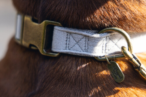 Beeztees DBL Köpek Tasması, Kadife, Gri, 48-70cm, 25mm - 6