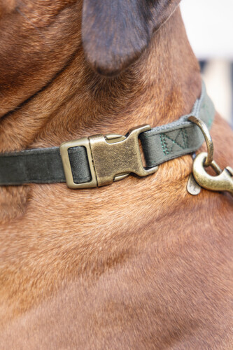 Beeztees DBL Köpek Tasması, Kadife, Nefti, 48-70cm, 25mm - 8