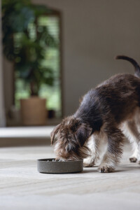 Beeztees DBL Köpek Yavaş Besleme Mama Kabı, Bambu, Antrasit, 17cm, 800ml - 2