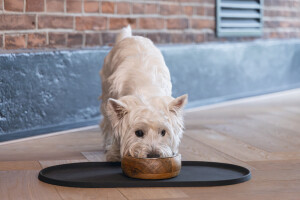 Beeztees DBL Mama Su Kabı Servisi, Silikon, Kaymaz, Antrasit, 45x25x1,5cm - 3