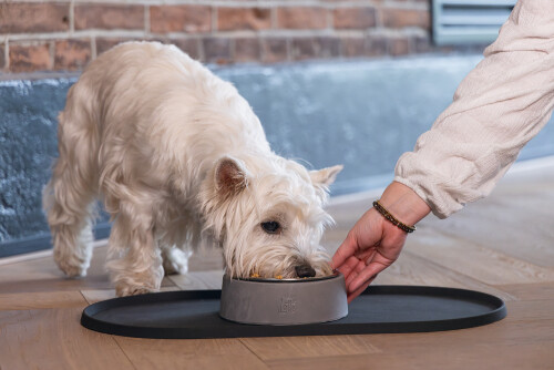 Beeztees DBL Mama Su Kabı Servisi, Silikon, Kaymaz, Antrasit, 45x25x1,5cm - 4