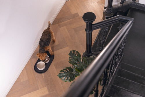 Beeztees DBL Mama Su Kabı Servisi, Silikon, Kaymaz, Antrasit, 55x30x1,7cm - 8