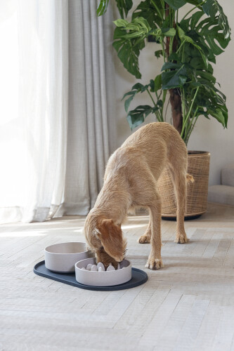 Beeztees DBL Mama Su Kabı Servisi, Silikon, Kaymaz, Antrasit, 55x30x1,7cm - 6