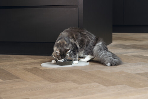 Beeztees DBL Mama Su Kabı Servisi, Silikon, Kaymaz, Bej, 45x25x1,5cm - 2