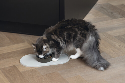 Beeztees DBL Mama Su Kabı Servisi, Silikon, Kaymaz, Bej, 45x25x1,5cm - 4