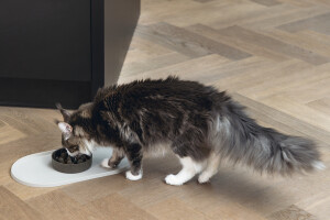 Beeztees DBL Mama Su Kabı Servisi, Silikon, Kaymaz, Bej, 45x25x1,5cm - 3