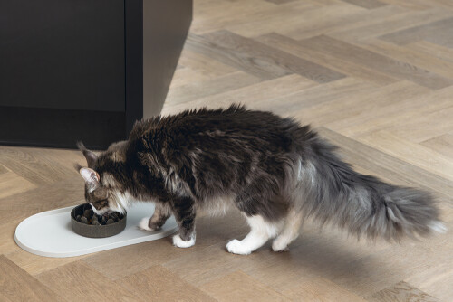 Beeztees DBL Mama Su Kabı Servisi, Silikon, Kaymaz, Bej, 45x25x1,5cm - 3