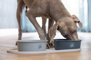 Beeztees DBL Mama Su Kabı Servisi, Silikon, Kaymaz, Bej, 55x30x1,7cm - 2