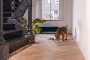 Beeztees DBL Mama Su Kabı Servisi, Silikon, Kaymaz, Bej, 55x30x1,7cm - 8