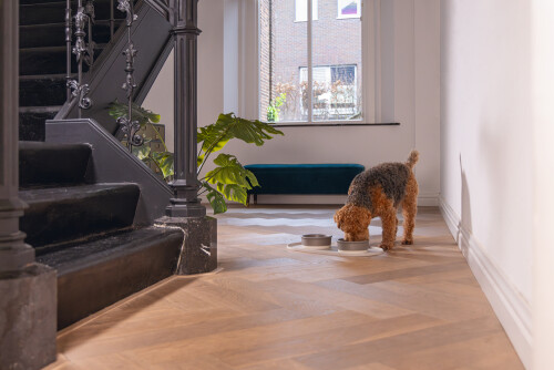 Beeztees DBL Mama Su Kabı Servisi, Silikon, Kaymaz, Bej, 55x30x1,7cm - 8