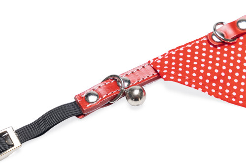 Beeztees Kedi Boyun Tasması, Bandanalı, Zilli, Kırmızı, 24-29cm - 3