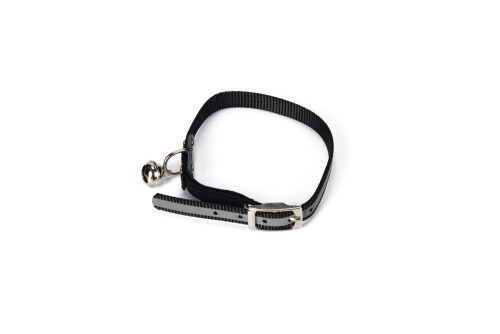Beeztees Kedi Boyun Tasması, Fosforlu Siyah, 24,5-29,5cm - 1