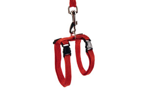 Beeztees Kedi Göğüs Tasması ve Gezdirme Kayışı, 130cm, Kırmızı - 1