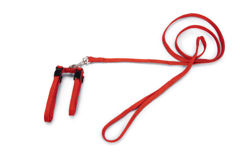 Beeztees Kedi Göğüs Tasması ve Gezdirme Kayışı, 130cm, Kırmızı - 3