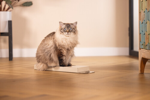 Beeztees Kedi Karton Tırmalama, Bej, 45cm - 3