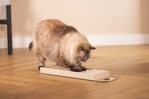 Beeztees Kedi Karton Tırmalama, Bej, 45cm - 2