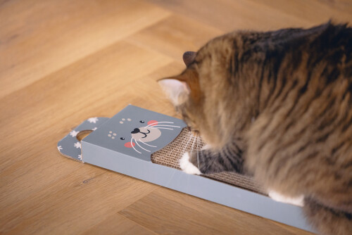 Beeztees Kedi Karton Tırmalama, Mavi, 45cm - 3