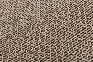 Beeztees Kedi Karton Tırmalama ve Kediotu, 52x21x10cm - 3