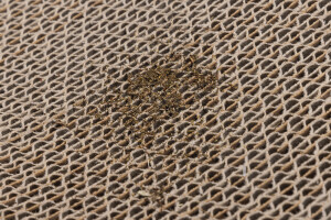 Beeztees Kedi Karton Tırmalama ve Kediotu, 52x21x10cm - 5