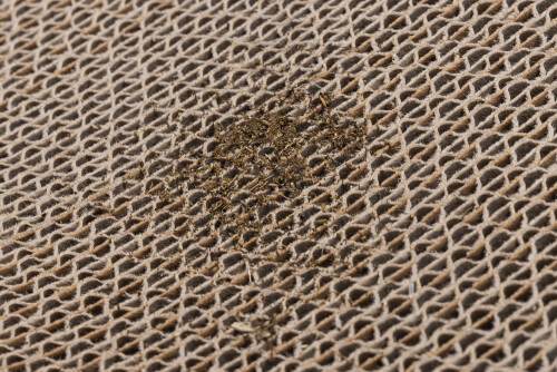 Beeztees Kedi Karton Tırmalama ve Kediotu, 52x21x10cm - 5